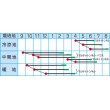 画像2: [大根]　春仕立小袋　（株）タカヤマシード (2)