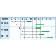 画像2: [キャベツ]　賀茂みどり　小袋　タカヤマシード (2)