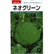 画像1: [ブロッコリー]　ネオグリーン　小袋　（株）タカヤマシード (1)