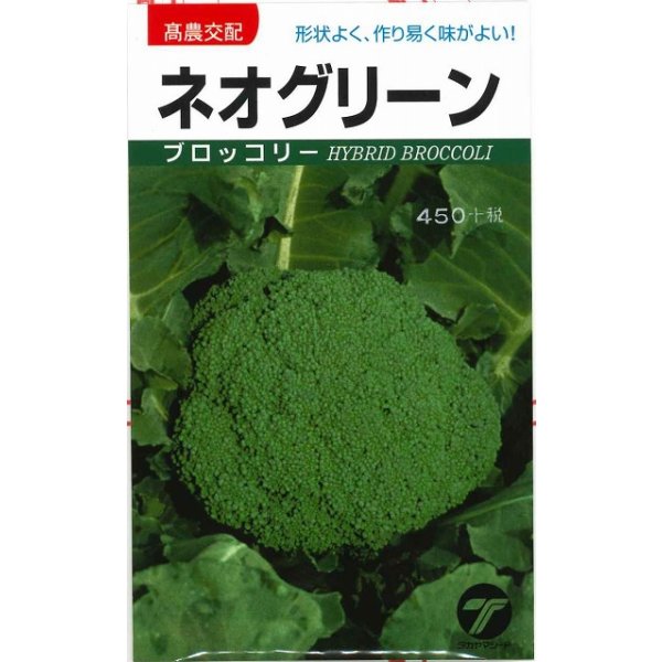 画像1: [ブロッコリー] ネオグリーン 小袋 (株)タカヤマシード (1)