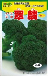 画像: 送料無料　[ブロッコリー]　翠麟　小袋　トキタ種苗(株)