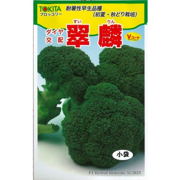 画像1: 送料無料　[ブロッコリー]　翠麟　小袋　トキタ種苗(株) (1)
