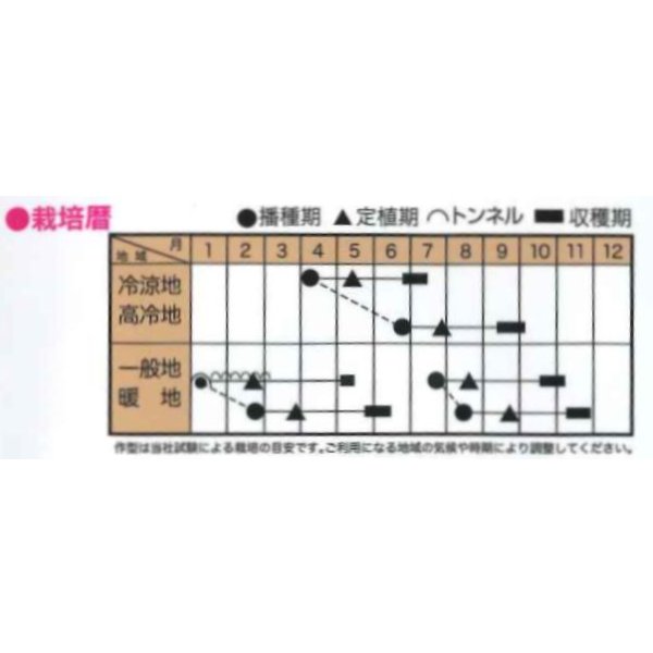 画像2: 送料無料　[ブロッコリー]　翠麟　小袋　トキタ種苗(株) (2)