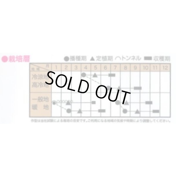 画像2: 送料無料　[ブロッコリー]　翠麟　小袋　トキタ種苗(株) (2)