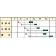 画像2: 大根　豊秋　8000粒　　カネコ交配　 (2)