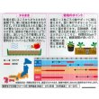 画像2: 送料無料　花の種　ビオラ　ピエナ　ラベンダーマジック　20粒　(株)サカタのタネ　実咲250（026271） (2)