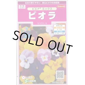 画像: 花の種　ビオラ　ピエナミックス　30粒　　サカタのタネ（株）実咲350