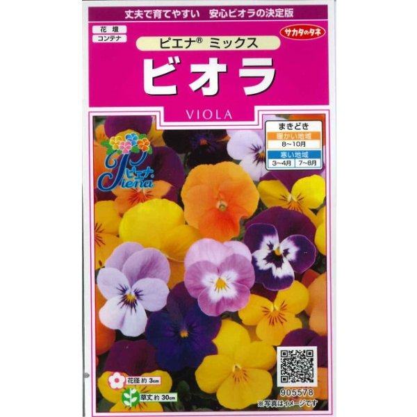 画像1: 花の種 ビオラ ピエナミックス 30粒 (株)サカタのタネ 実咲350(026133) (1)