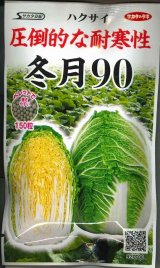 画像: [白菜] 冬月90 ペレット150粒 (株)サカタのタネ 実咲550(003171)