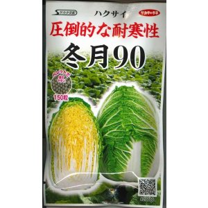 画像: [白菜] 冬月90 ペレット150粒 (株)サカタのタネ 実咲550(003171)