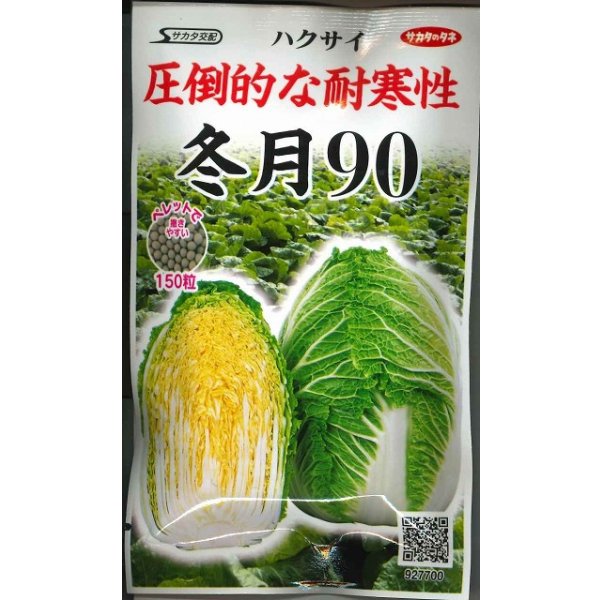 画像1: [白菜] 冬月90 ペレット150粒 (株)サカタのタネ 実咲550(003171) (1)