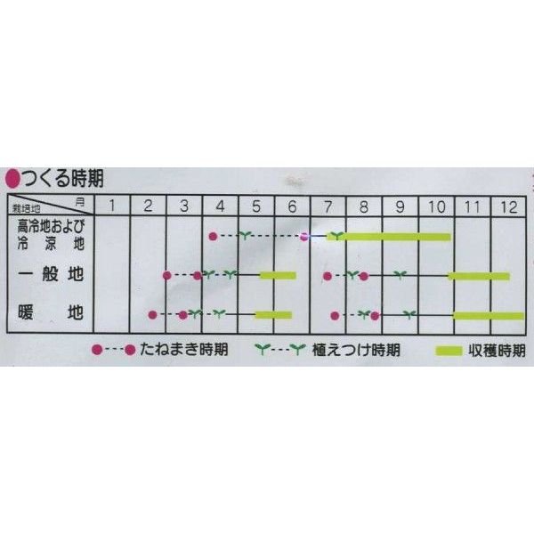 画像2: 送料無料　[カリフラワー]　美星　約100粒　(株)サカタのタネ　実咲450（002925） (2)