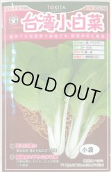 画像: 送料無料　[葉物]　白菜　台湾小白菜　小袋　トキタ種苗(株)(トキタ種苗(株))