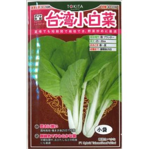 画像: [葉物]　白菜　台湾小白菜　小袋　トキタ種苗（株）(トキタ種苗（株））