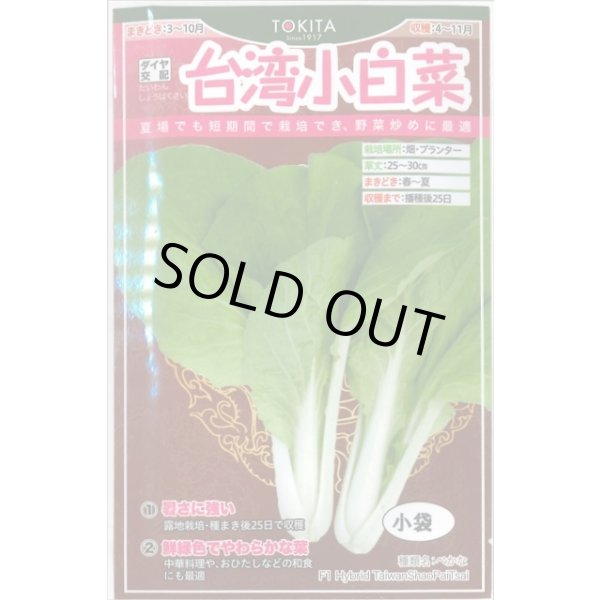 画像1: 送料無料　白菜　台湾小白菜　小袋　トキタ種苗(株) (1)