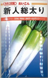 画像: 大根 新人総太り 20ml カネコ種苗（株）