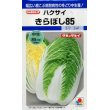 画像1: [白菜]　きらぼし85　20ｍｌ　タキイ種苗（株） (1)