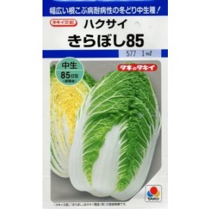 画像: 送料無料　[白菜]　きらぼし85　20ml　タキイ種苗(株)