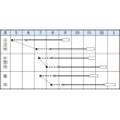 画像2: [カリフラワー]　スノーニューダイヤ　1.2ml　タキイ種苗（株）　DF　 (2)