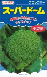 画像: [ブロッコリー] スーパードーム 1.1ml カネコ種苗（株）
