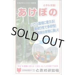 画像: 送料無料　[キュウリ]　あけぼの　20粒　(株)ときわ研究場