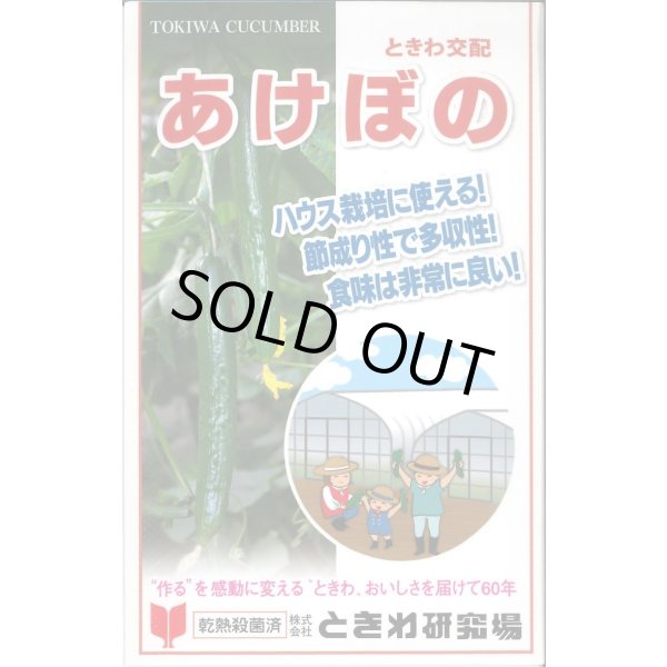 画像1: 送料無料　[キュウリ]　あけぼの　20粒　(株)ときわ研究場 (1)