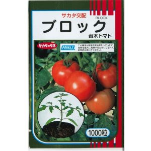 画像: 送料無料　[台木/トマト用]　ブロック　1000粒　(株)サカタのタネ