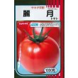 画像1: 送料無料　[トマト]　麗月　1000粒　(株)サカタのタネ (1)