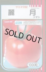 画像: 送料無料　[トマト]　麗月　1000粒　(株)サカタのタネ