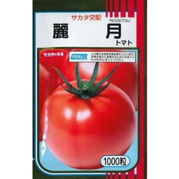 画像1: 送料無料　[トマト]　麗月　1000粒　(株)サカタのタネ (1)