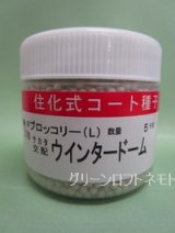 画像: 送料無料　[ブロッコリー]　ウインタードーム　コート5000粒　(株)サカタのタネ