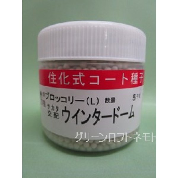 画像1: 送料無料 [ブロッコリー] ウインタードーム コート5000粒 (株)サカタのタネ (1)