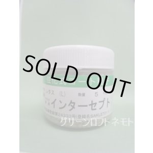 画像: [レタス] インターセプト ペレット種子 5000粒 （株）サカタのタネ