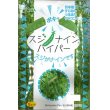 画像1: [えんどう]　サヤエンドウ　スジナインハイパー　20ｍｌ　トキタ種苗（株） (1)