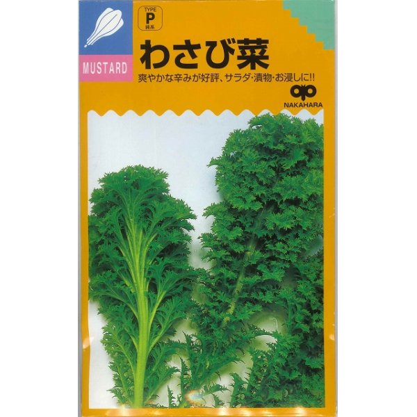 画像1: [葉物]　わさび菜　20ｍｌ　中原採種場（株） (1)