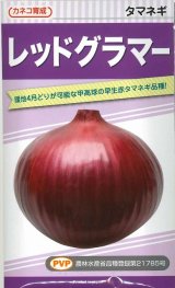 画像: 送料無料　[たまねぎ]　レッドグラマー（PVP)　　20ml　カネコ種苗（株）