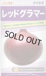 画像: 送料無料　[たまねぎ]　レッドグラマー　　20ml　カネコ種苗（株）
