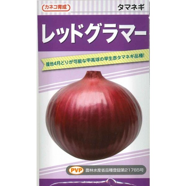 画像1: 送料無料　[たまねぎ]　レッドグラマー（PVP)　　20ml　カネコ種苗（株） (1)