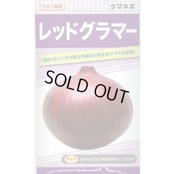 画像1: 送料無料　[たまねぎ]　レッドグラマー　20ml　カネコ育成 (1)