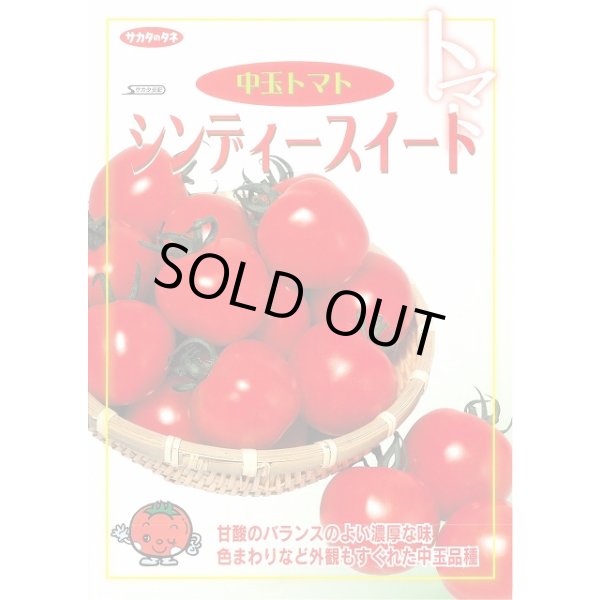 画像2: 送料無料　[トマト/中玉トマト]　シンディースイート　約21粒　（株）サカタのタネ 実咲550（002816） (2)
