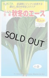 画像: [小松菜] 秋冬のエース 10ml トキタ種苗(株)