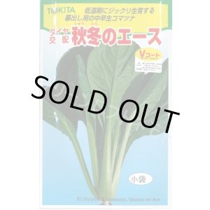 画像: 送料無料　[小松菜]　秋冬のエース　10ml　トキタ種苗(株)