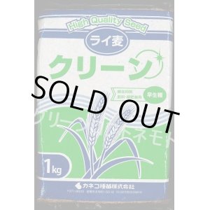 画像: [緑肥]　ライ麦　クリーン　1kg　カネコ種苗(株）