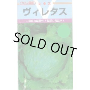 画像: 送料無料　[レタス]　ヴィレタス　20ml　カネコ育成