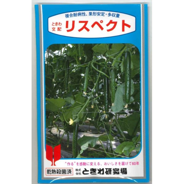 画像1: [キュウリ]　送料無料！リスペクト　350粒　（株）ときわ研究場 (1)