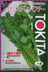 画像: 送料無料　[ハーブの種]　コリアンダー　サワディ　10ml　トキタ種苗
