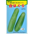 画像1: [瓜類]　白はぐら　20ml（およそ700粒）　トキタ種苗（株） (1)