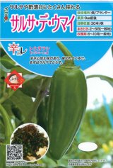 画像: 送料無料　[とうがらし]　ハラペーニョ　サルサ・デ・ウマイ　20粒　トキタ種苗(株)