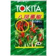 画像1: 送料無料　[とうがらし]　八房とうがらし　3ml　トキタ種苗(株) (1)