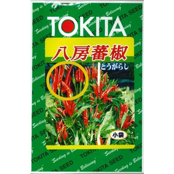 画像1: 送料無料　[とうがらし]　八房とうがらし　3ml　トキタ種苗(株) (1)
